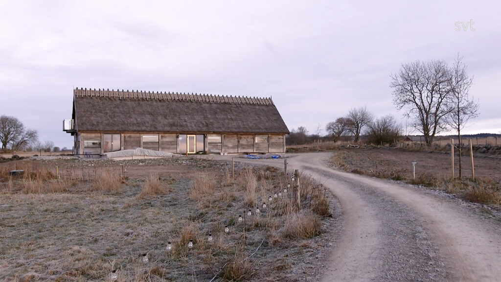 Hornborgasjön - Husdrömmar